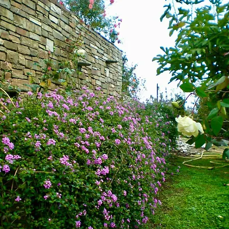 Holiday home Pepromeno Boutique Agios Dimitrios (Magnesia)