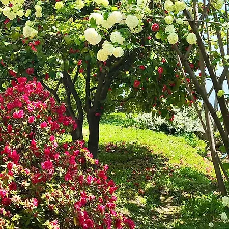 Pepromeno Boutique Holiday home Agios Dimitrios (Magnesia)