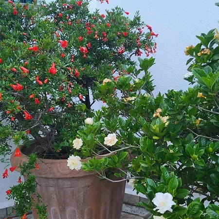Feriehus Pepromeno Boutique Áyios Dhimítrios