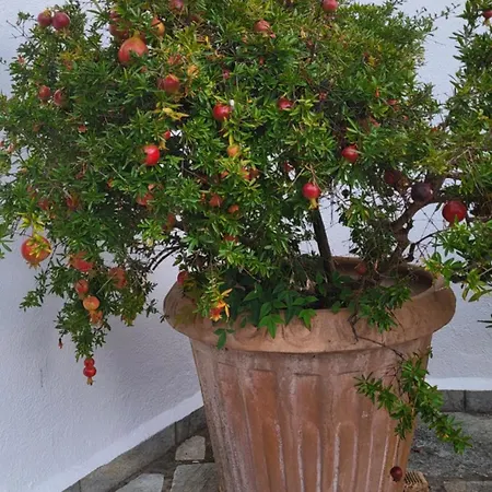 Pepromeno Boutique * Áyios Dhimítrios